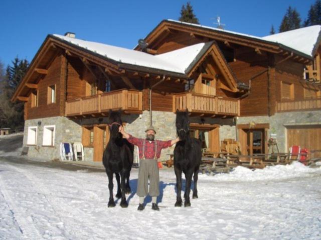 Agriturismo Chalet Caribona Villa Valdisotto Bagian luar foto